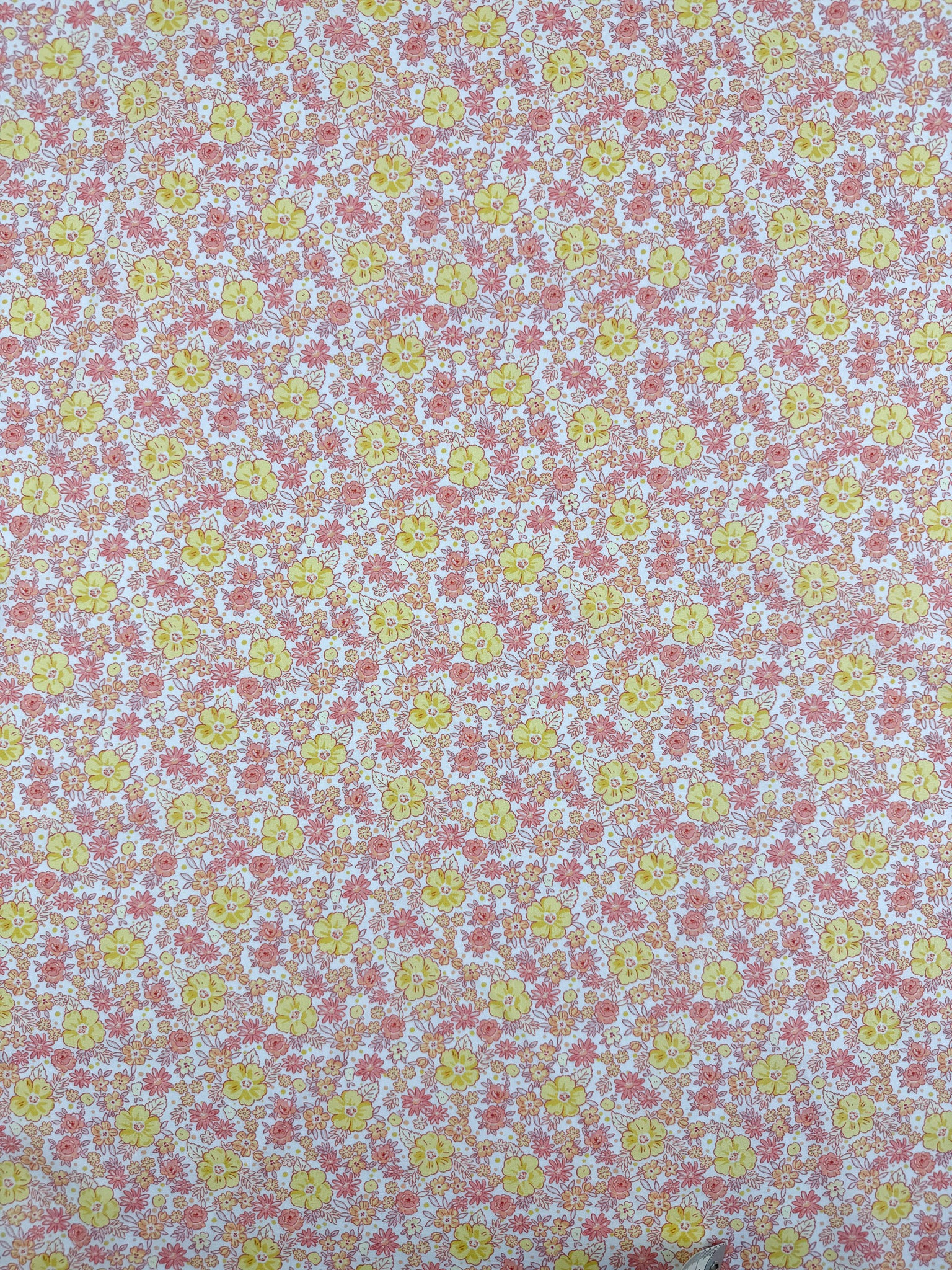 Printed Cotton - Blush Garden - 150cm